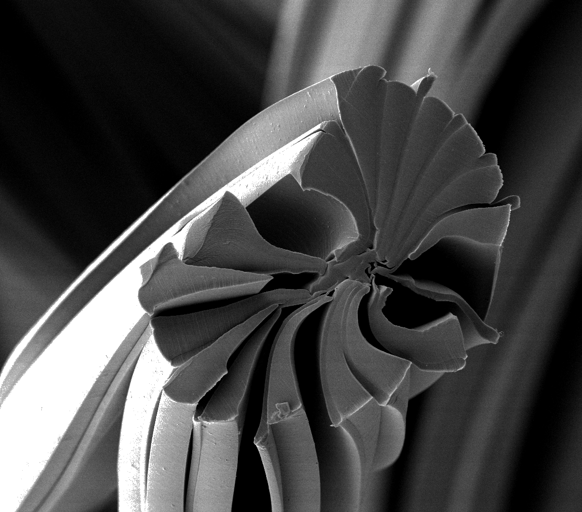 Evolon New Generation