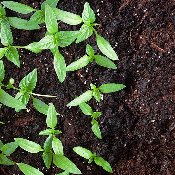 Reduced end-of-life impact