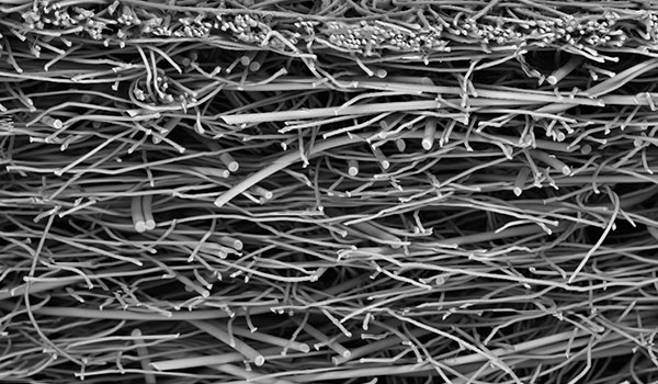 Stapelfaservliesstoffe